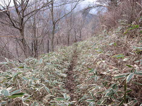 20190214hike (103)